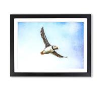 Flying Atlantic Puffin Bird Painting Modern Art Framed Print | A4 Black Framed Wall Art | Ready to Hang | Modern Historical Picture | Living Room Bedroom Lounge Office