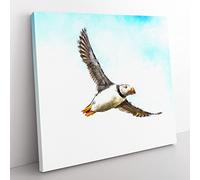 Flying Atlantic Puffin Bird Painting Modern Canvas Wall Art Print Ready to Hang, Framed Picture for Living Room Bedroom Home Office Décor, 50x50 cm (20x20 Inch)