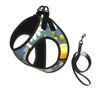 Flying Bees Daisy Honey Print Pet Leash Vest,Breathable Mesh Pet Harness, Reflective For Small Medium Dogs Safe Easy Walking
