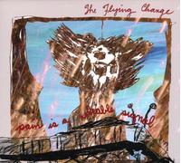 Flying Change - Pain Is A Reliable Signal