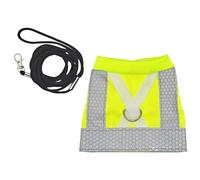 Flying Clothes for Birds - Bird Harness with Reflective Strip | GILL Sunscreen Pack of Alcement Common Carchio Made For Here Flying