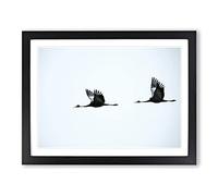 Flying Cranes Birds Modern Framed Print | A4 Black Framed Wall Art | Ready to Hang | Modern Animal Picture | Living Room Bedroom Lounge Office