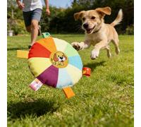 Flying Disc Dog Toy, Durable Dog Toy for Outdoor Playtime, Safer Disc for Healthy Activity, Interactive Pet Toy for Training, Outdoor Fetch Toy for Small & Medium Dogs, 6.75", Rainbow Colors