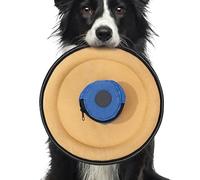 Flying Disc Dog Toy,Soft Canvas Flyer Interactive,Outdoor Play Discs Tug Fetch Toy | for Small Medium Large All Breeds Treat Bag Park Beach Backyard Garden Yard Picnic Walking