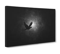 Flying Dove Bird Canvas Print | Gallery Wrapped 30mm Frame Wall Art | 24x16 inches | Ready to Hang | Abstract Animals Picture | Living Room Bedroom Lounge Office