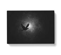 Flying Dove Bird Painting Modern Art Canvas Wall Art Print Ready to Hang, Framed Picture for Living Room Bedroom Home Office Décor, 60x40 cm (24x16 Inch)
