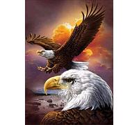 Flying Eagle Diamond Painting Kits - PigBoss 5D Full Diamond Painting by Numbers - Crystal Diamond Dots Kits Eagle Painting Home Decor Art Gift (11.8 x 15.7 inches)