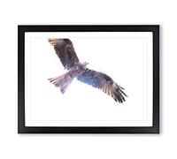 Flying Eagle Painting Modern Art Framed Print | A4 Black Framed Wall Art | Ready to Hang | Modern Animal Picture | Living Room Bedroom Lounge Office