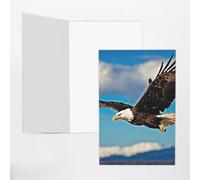 Flying Eagle Print Adorable Blank Cards& Envelopes,Unique Designs Perfect for Festivals, Invitations