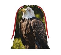 Flying Eagle Print Convenient Drawstring Gift Wrapping Bag Lightweight Comfort Suitable All Occasions