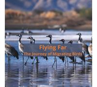 Flying Far: The Journey of Migrating Birds