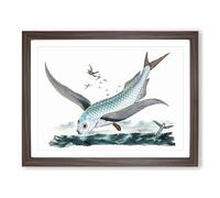 Flying Fish By Edward Donovan Vintage Framed Print | A4 Walnut Framed Wall Art | Ready to Hang | Classic Animal Picture | Living Room Bedroom Lounge Office