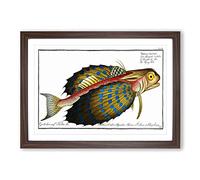 Flying-Fish by M.E. Bloch Framed Print | A2 Walnut Framed Wall Art | Ready to Hang | Modern Animal Picture | Living Room Bedroom Lounge Office