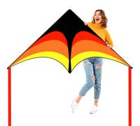 Flying Hoofer Delta Kite for Kids & Adults - Easy to Fly Large Single Line Beach Kite with 300ft String Handle Included, Perfect for Beginners, Teens