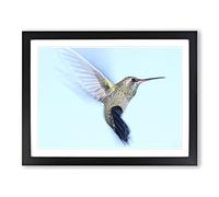 Flying Hummingbird Bird No.2 Modern Framed Wall Art Print, Ready to Hang Picture for Living Room Bedroom Home Office Décor, Black A4 (34 x 25 cm)