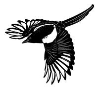 'Flying Magpie' Rubber Stamp - Unmounted Design for Crafting & Scrapbooking, A8 (RS00041911)