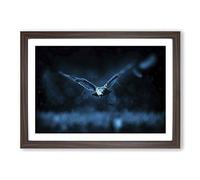 Flying Owl Framed Print | A2 Walnut Framed Wall Art | Ready to Hang | Modern Animal Picture | Living Room Bedroom Lounge Office