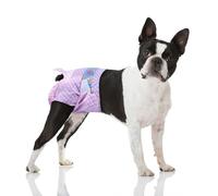 Flying Paws Dog Nappies Female, M-10 Super Absorbent Disposable Diapers with Wetness Indicator, Female Dog Period Pants in Season, Medium Incontinence Diapers Fits Waist 30-50 cm