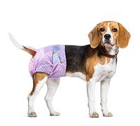 Flying Paws Dog Nappies Female, S-40 Super Absorbent Disposable Diapers with Wetness Indicator, Female Dog Period Pants in Season, Small Incontinence Diapers Fits Waist 26-46 cm
