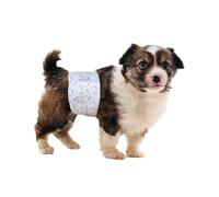 Flying Paws Dog Nappies Male S-40 Counts, with Leak-Proof Protection and Wetness Indicator Disposable Diapers for Males, Super Absorbent Puppy Incontinence Nappies for Training, Travel