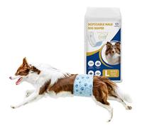 Flying Paws Male Dog Nappies, L-26 Belly Bands, Wetness Indicator Diapers | Ultra-thin & Super Absorbent Wraps, Adjustable Snug Fit. Ideal for Marking, Training, Senior Incontinence, Recovery for Male
