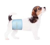 Flying Paws Male Dog Nappies, XS-40 count, with Wetness Indicator Super Absorbent Dog Wraps, Adjustable Puppy Diapers for Male, Puppy Incontinence Pants