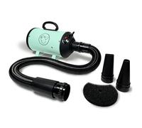 Flying Pig High Velocity Dog Pet Grooming Dryer w/Heater (Flying One, Mint w/Grey Logo)