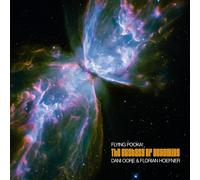 Flying Pooka The Ecstasy of Becoming (CD) (US IMPORT)