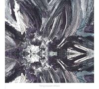 Flying Saucer Attack - Instrumentals 2015 - New CD - 42 - Y123z