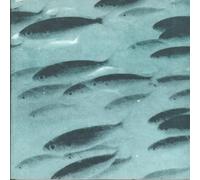 Flying Saucer Attack/Jessamine - At Night / From Here To And Now Otherwise [Vinyl Single 7'']