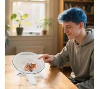 Flying Saucer Hamšter Wheel, Silent Small Pet Exercise Wheel For Geŕbils Mice Hedgehogs, Non-Slîp Stable PP Running Wheēl, Stress Relief Toy For Hamster Cage, 7.09x4.33 Inches, White/Pink, 1