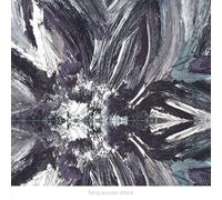 Flying Saucer Attack – Instrumentals – CD – 2015 – Domino Records