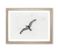 Flying Seagull In Abstract Modern Art Framed Print | A3 Oak Framed Wall Art | Ready to Hang | Abstract Animal Picture | Living Room Bedroom Lounge Office