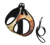 Flying Seagulls Dog Harness - Equipped with Reflective Straps and Quick Release Buckles - Suitable for Small Cats and Dogs