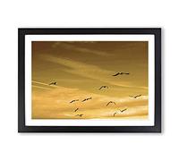 Flying Seagulls Sunset Birds Framed Print | A2 Oak Framed Wall Art | Ready to Hang | Modern Animal Picture | Living Room Bedroom Lounge Office