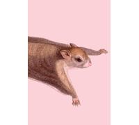 Flying Squirrel Vintage Wrap Around Graphic Lined Paper Notebook for Creative Writing, Journaling, or Logs: Incredible Value - 100 Lined Pages - 9" x ... for the Squirrel Enthusiast in Your Life!