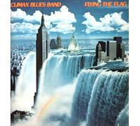 Flying the flag (1980) / Vinyl record [Vinyl-LP]