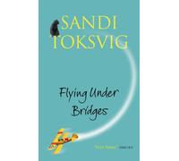 Flying Under Bridges