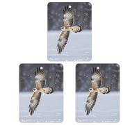 Flying White Eagle Car Air Freshener, 3 Pcs Square Hanging Air Freshener Cards, Long Lasting Fragrance Scented Cards for Car, Home, Office White-style