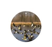 Flying Wild Ducks Printing 10 Pcs Car Air Freshener Fragrant Sheets,Car Hanging Accessories With Strings For Decor
