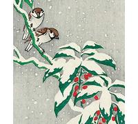 Flying Wish Paper - Write it, Light it, & Watch it Fly - Snow Birds - 5" x 5" - Whimsical Mini Kits