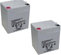 Flymo SabreCut Replacement Batteries (Pack of 2)