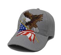 FLYOUTH Creative Baseball Cap Eagle and USA Nation Flag Hat Wild Sun Shade Embroidered Peaked Cap, Gray, One size