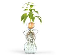 flysclean Glass Vase for Flowers or Plant Propagation in Unique Woman Body Form Design - Ideal for Water Rooting Bulbs Plants Seeds - Artistic Clear Silhouette Decor for Home & Garden