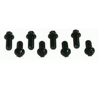 flywheel bolt kit 1874 000 030 SACHS