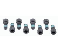 SACHS 1874 000 032 Screw Set, flywheel