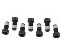 SACHS 1874 000 043 Screw Set, flywheel