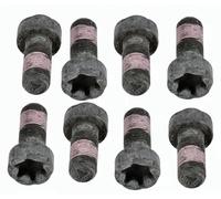 SACHS Screw Set, flywheel 1874 000 050