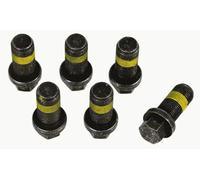 SACHS 1874 000 069 Screw Set, flywheel