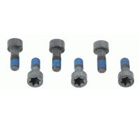 SACHS 1874 000 041 Screw Set, flywheel